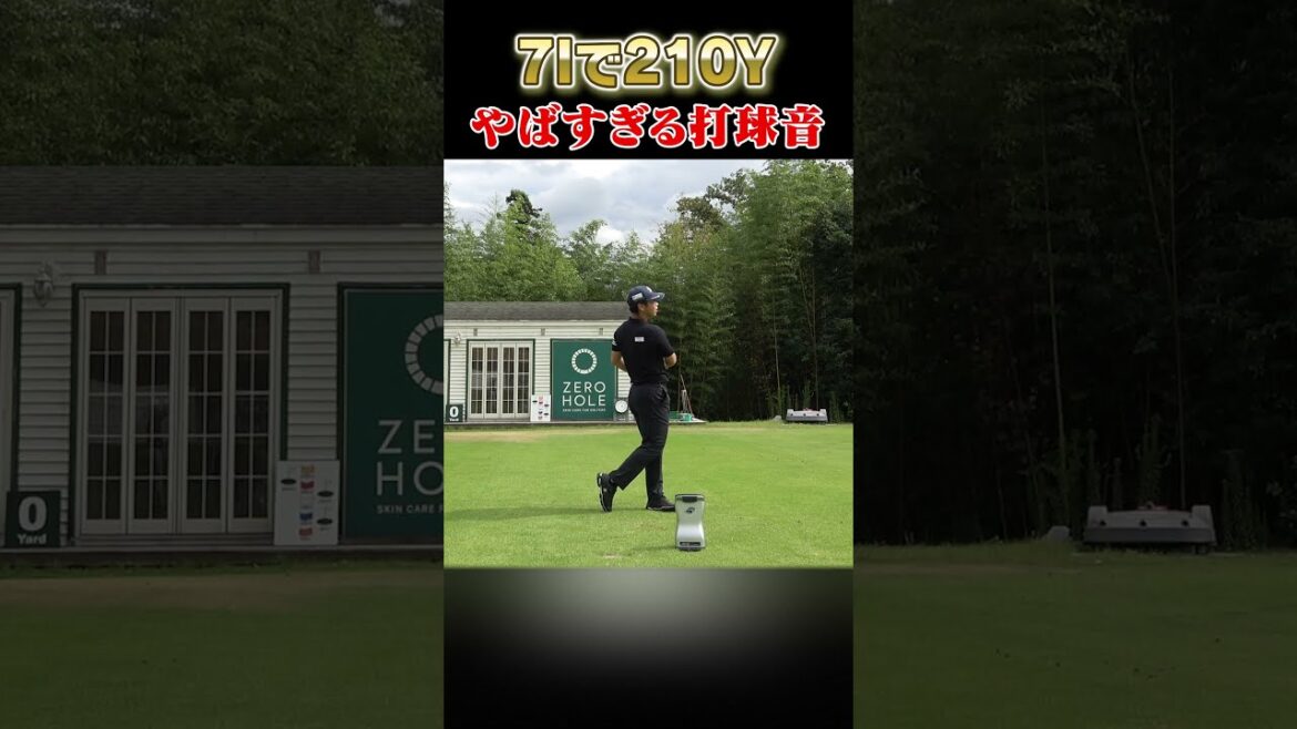 7番アイアンで210y!? #shorts #subscribe #shortvideo #golf #golfswing #golfer 7番アイアンで210y!? #shorts #subscribe #shortvideo #golf #golfswing #golfer