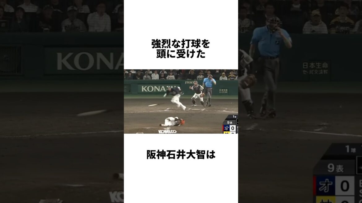 『打球が頭部に直撃した石井大智について』#shorts #プロ野球 #野球 #阪神タイガース #阪神 #石井大智 #廣岡大志 #高知 #駒田徳広 #佐藤輝明 #村上頌樹 #中野拓夢