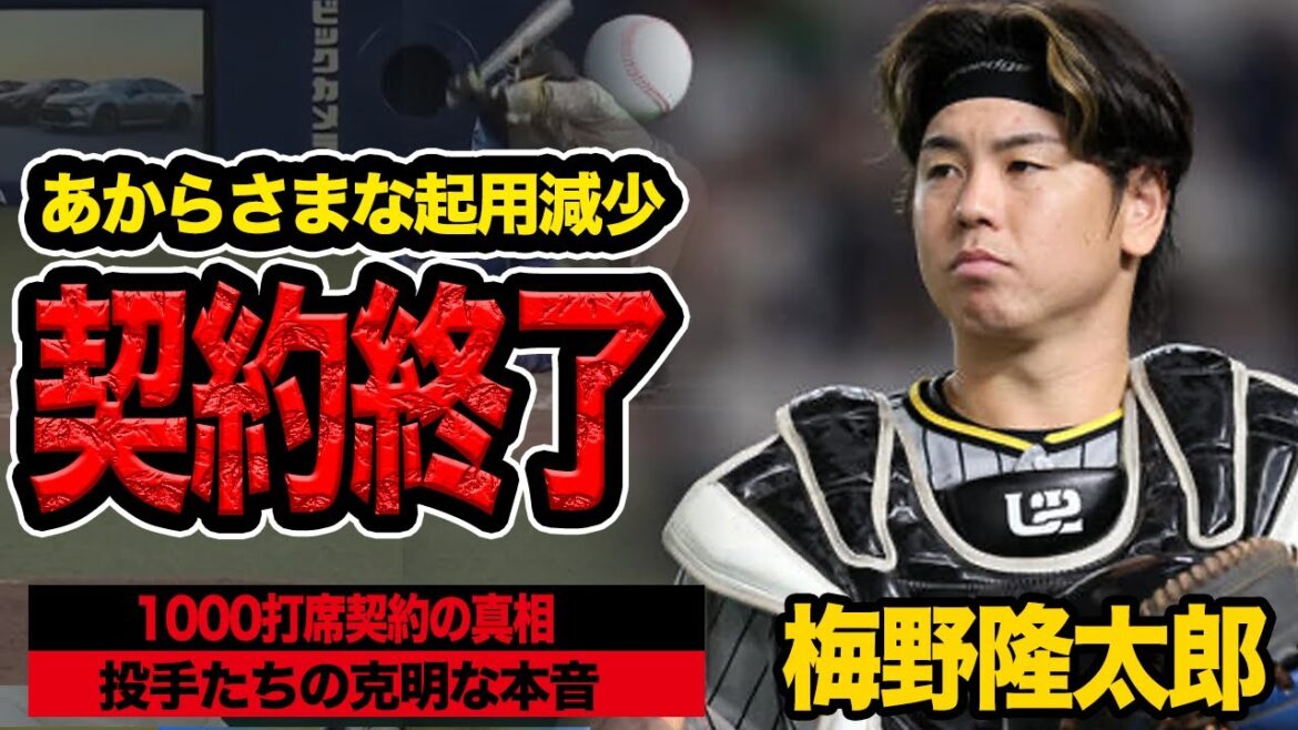 梅野隆太郎が今季終了…！1000打席契約終了で阪神足枷解除の真相に言葉を失う！【阪神タイガース】【プロ野球】
