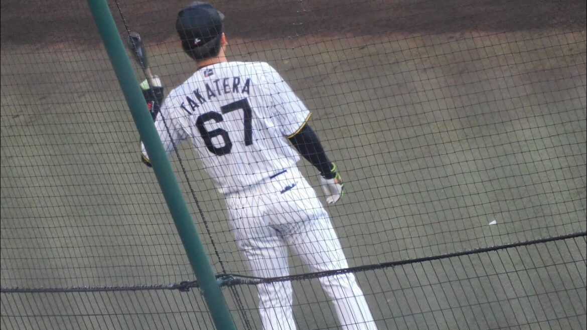 このチャンスをモノにする スタメンが続く 高寺望夢 試合前誰もいないベンチ前で1人黙々とスイング