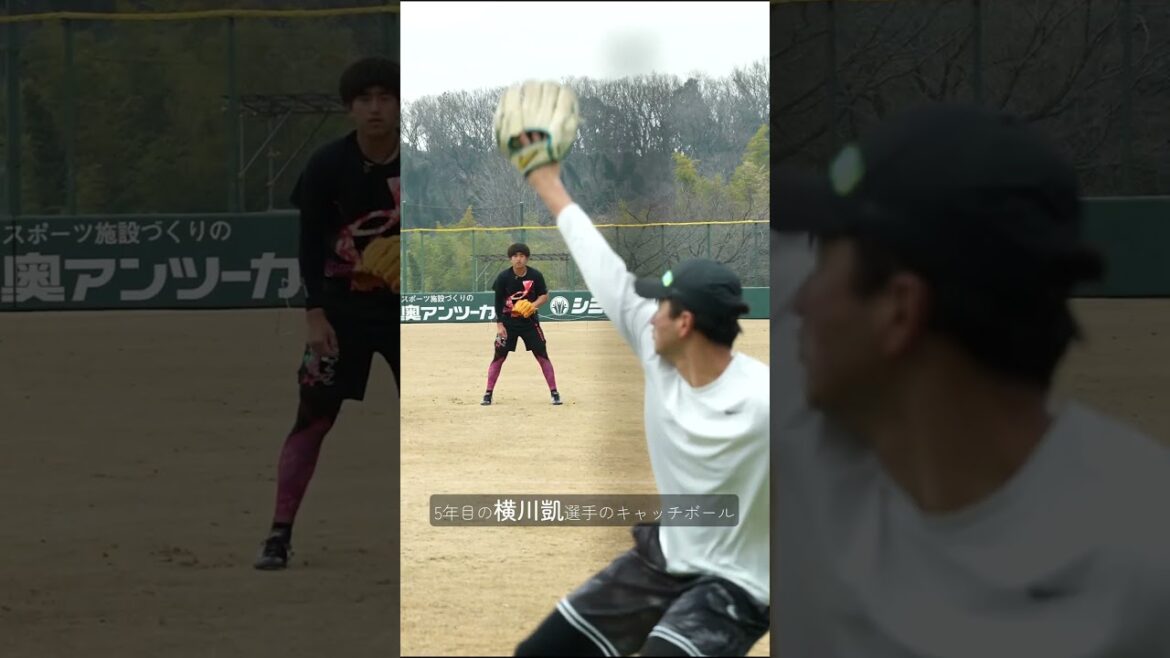 キャッチボールで分かる驚きの成長記録！？ #shorts #baseball #sports #ジャイアンツ #巨人 #プロ野球