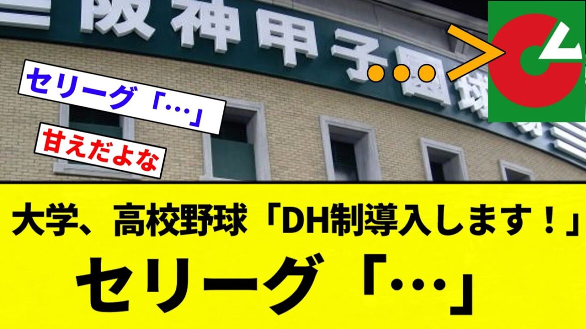 【セカンドリーグ定期】大学、高校野球「DH制導入します！」セリーグ「…」【プロ野球反応集】【2chスレ】【なんG】