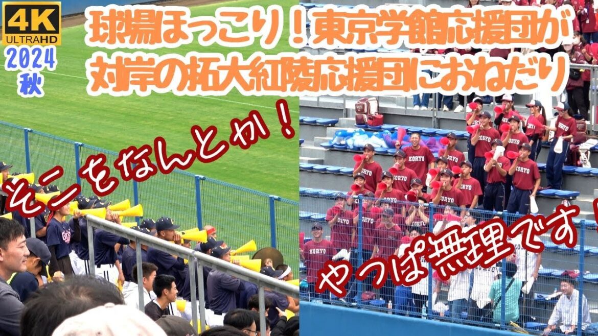 球場ほっこり!東京学館応援団が対岸の拓大紅陵応援団におねだり アドリブ応援にしてはできすぎ?流れは持ってこれなかったかなw(千葉県高校野球応援2024) 球場ほっこり!東京学館応援団が対岸の拓大紅陵応援団におねだり アドリブ応援にしてはできすぎ?流れは持ってこれなかったかなw(千葉県高校野球応援2024)