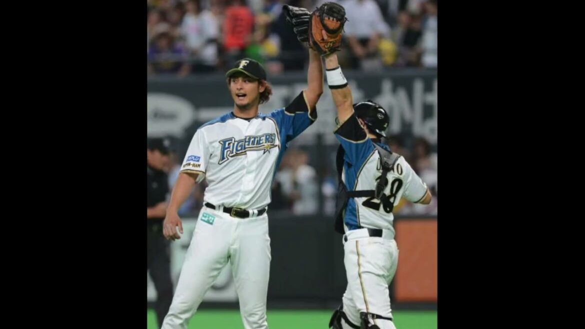 大野Emotional奨太【プロ野球応援歌アレンジ】