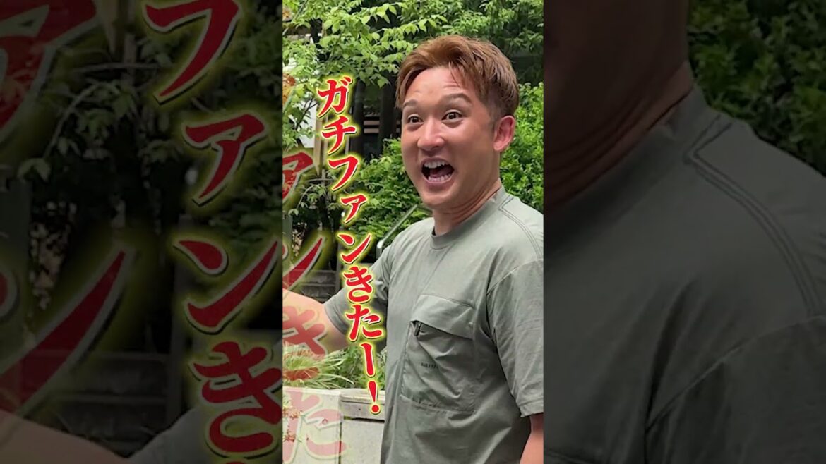 杉谷拳士がインタビューしたのは野球ガチファン！ガチファンの語る球場観戦の魅力とは…？ #shorts