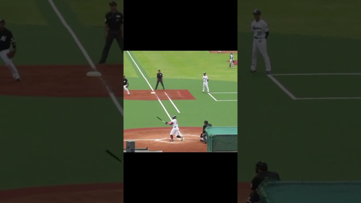 ヤクルト三ツ俣大樹バッティングフォーム＜2軍・ヤクルトスワローズ対 千葉ロッテマリーンズ  2024年5月12日＞