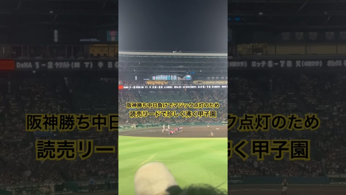 読売リードに喜ぶ阪神ファン #阪神タイガース #プロ野球 #読売ジャイアンツ #優勝マジック