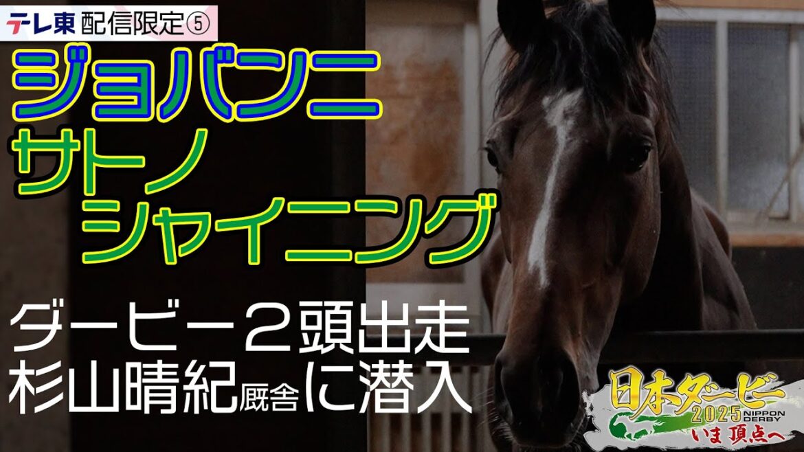 【配信限定】リーディング独走中！杉山晴紀厩舎が日本ダービーに送り出す2頭の素顔｜日本ダービー2025 いま頂点へ