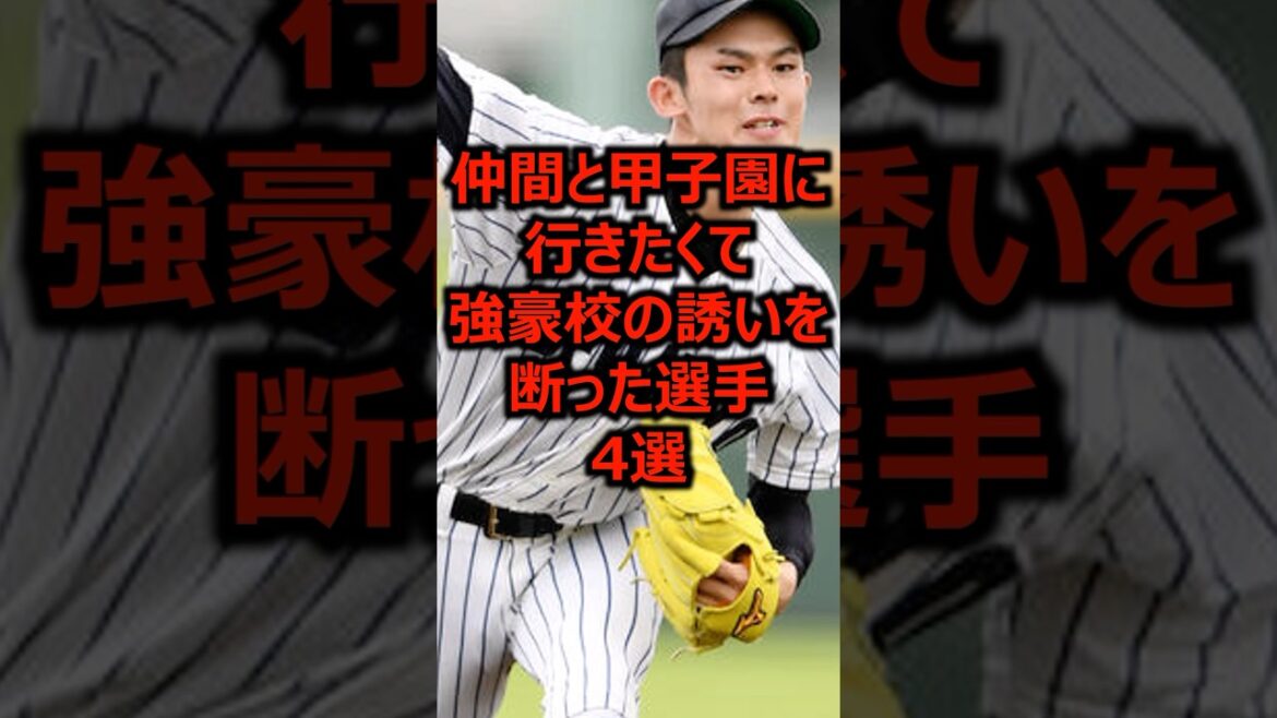 仲間と甲子園に行きたくて強豪校の誘いを断った選手4選 #プロ野球 #高校野球 #甲子園
