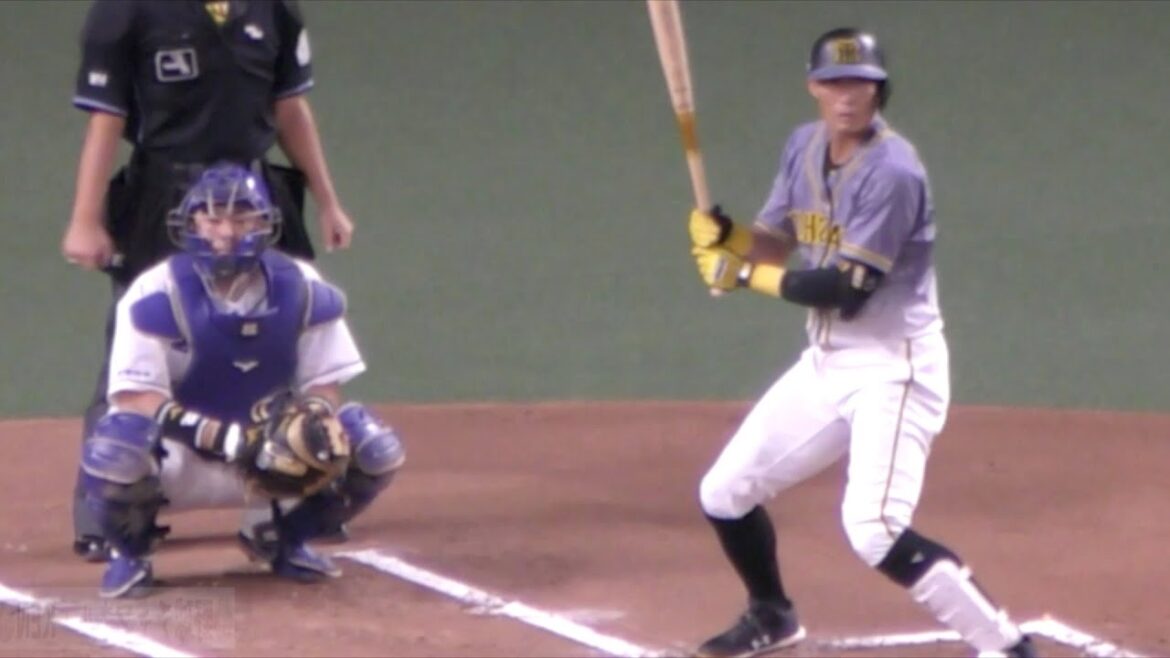 糸井嘉男 右打ちにしてみた 宮津高校 近畿大学 阪神タイガース 糸井嘉男 右打ちにしてみた 宮津高校 近畿大学 阪神タイガース