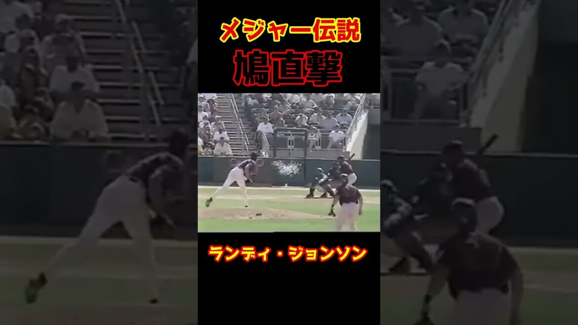 バードストライク #メジャーリーグ #baseball #Shorts