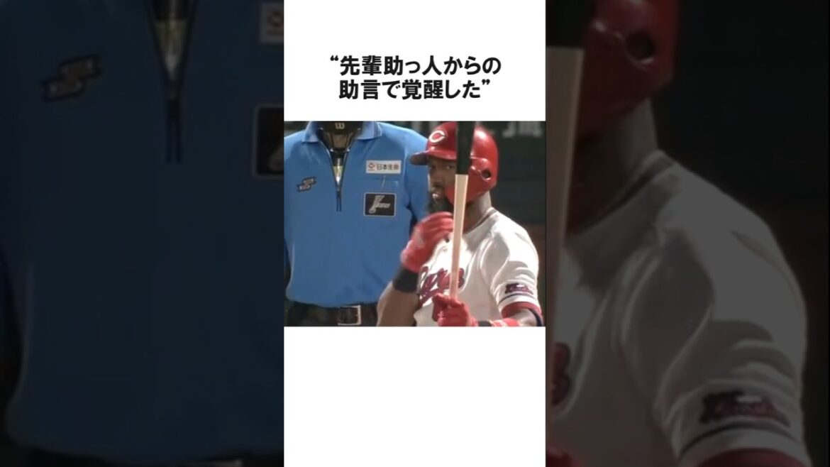 「米国には...」神助っ人の助言で大覚醒したサンドロ・ファビアンに関する雑学【プロ野球/NPB】