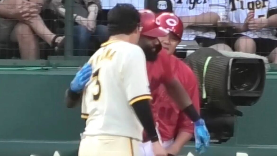 死球を受けたファビアン、塁上で謝る大山さんにスキンシップで応える！広島東洋カープvs阪神タイガース 2025年7月30日