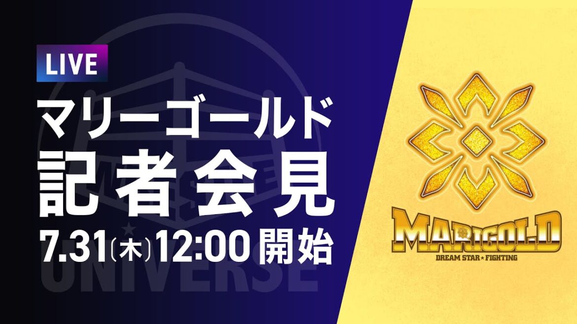 マリーゴールド最強レスラー決定戦!DREAM*STAR GP2025 記者会見|WRESTLE UNIVERSE マリーゴールド最強レスラー決定戦!DREAM*STAR GP2025 記者会見|WRESTLE UNIVERSE