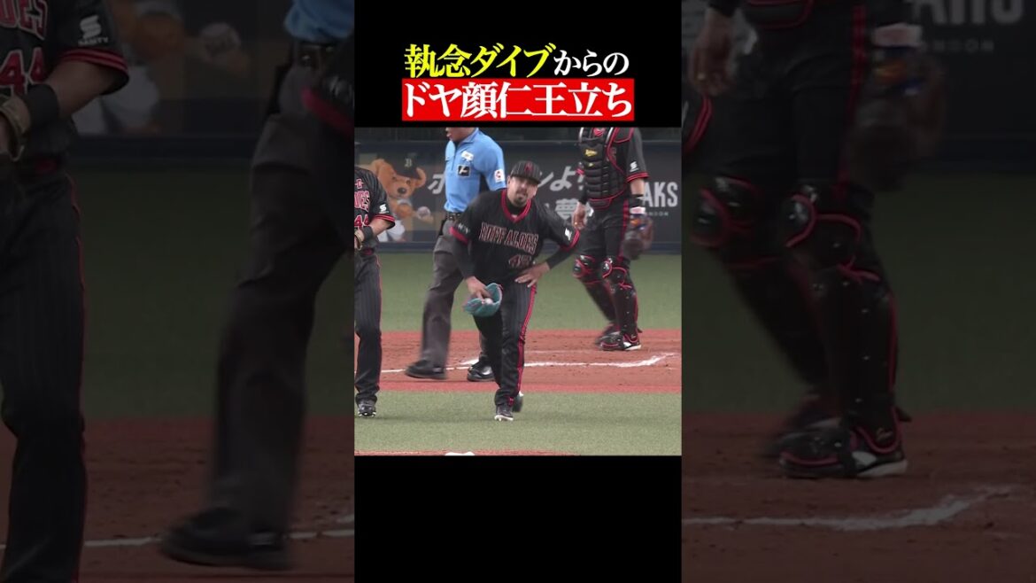 『ダイブ』→『どや顔』→『仁王立ち』 #shorts