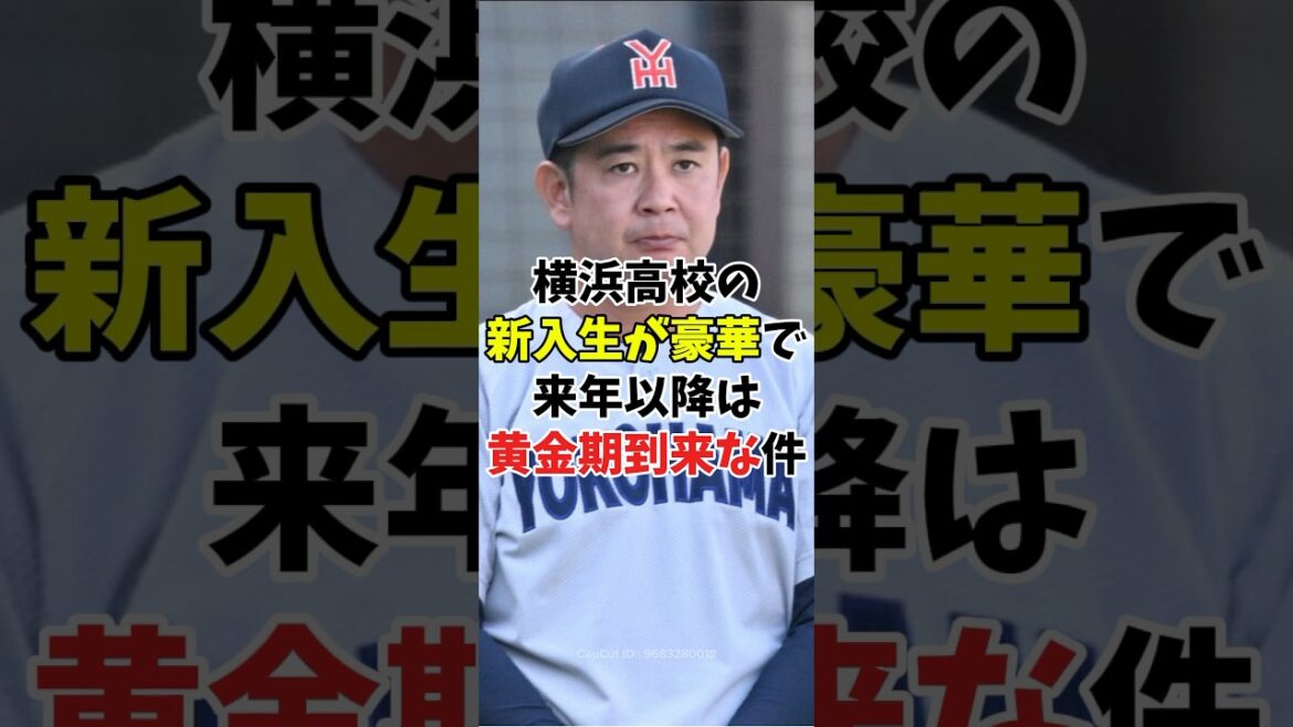 【夏の甲子園】横浜高校の新入生がエグすぎて今後も黄金期が到来な件【新入生情報】