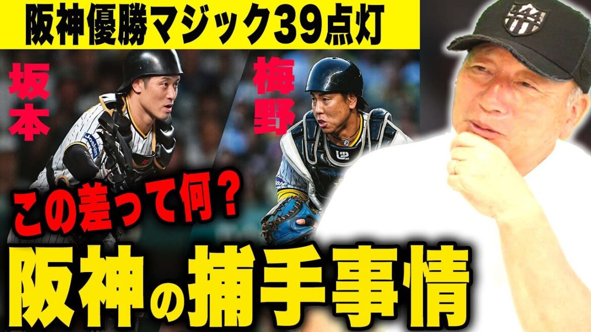 【考察】阪神優勝へのキープレイヤー”坂本誠志郎と梅野隆太郎”の魅力に迫る‼︎坂本にあって梅野に無いものは何！？