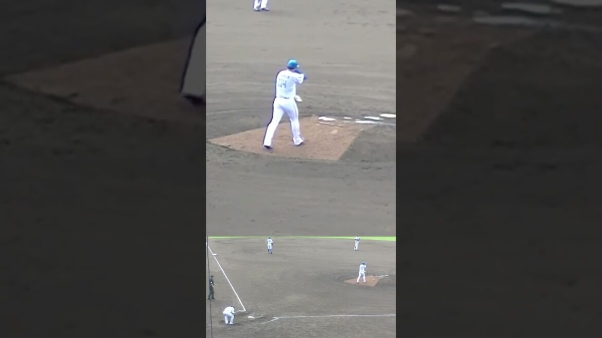 日ハム 松本 遼大の投球フォームと球筋【日本ハムファイターズ対 横浜DeNAベイスターズ2024年5月8日】