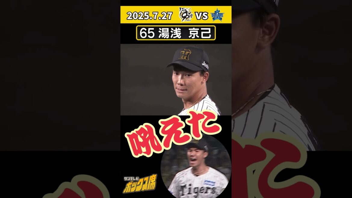 【今日もアツアツ】湯浅投手　今季28試合目の登板　嫌な流れを断ち切って吼えた！（7月27日 阪神―DeNA）#サンテレビボックス席
