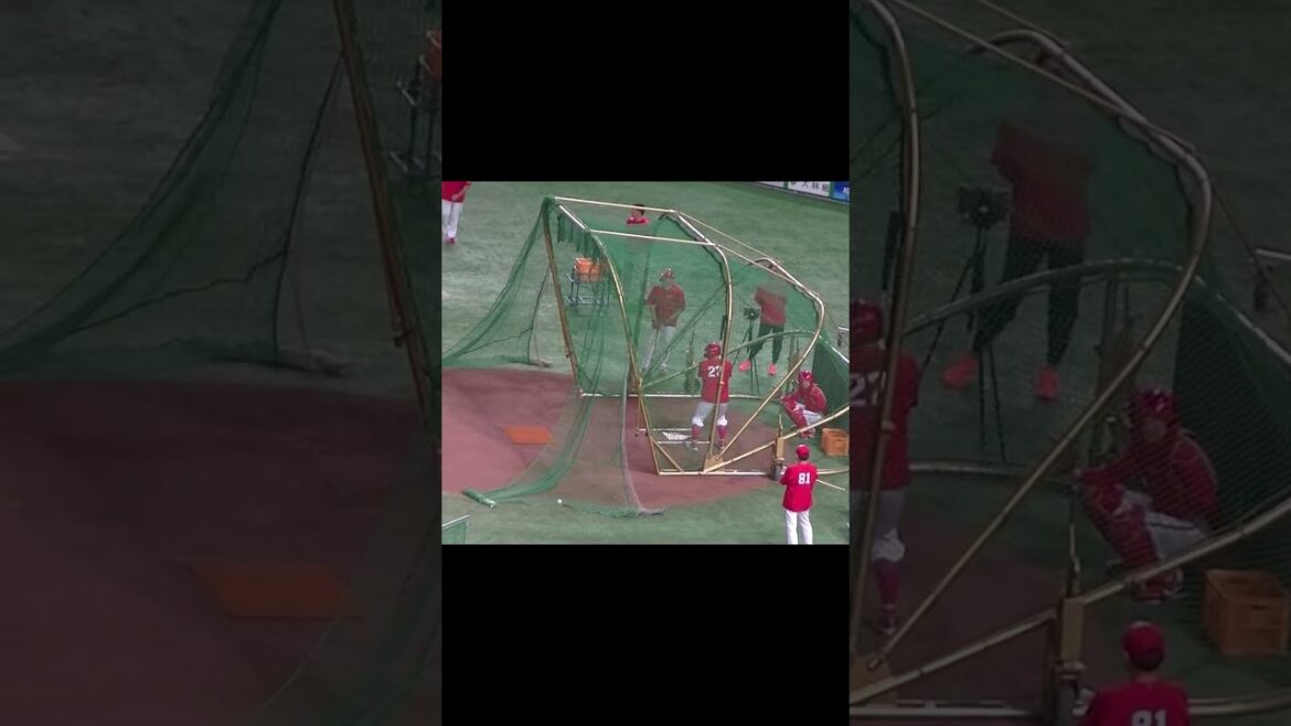 広島 會澤翼のフリーバッティング（2024年6月28日読売ジャイアンツ対 広島カープ）