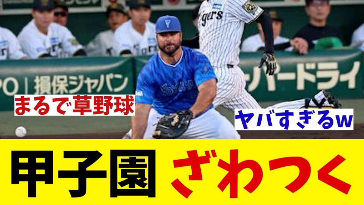 DeNA　甲子園でベイス⭐︎ボール炸裂wwwww【野球情報】【2ch 5ch】【なんJ なんG反応】【野球スレ】