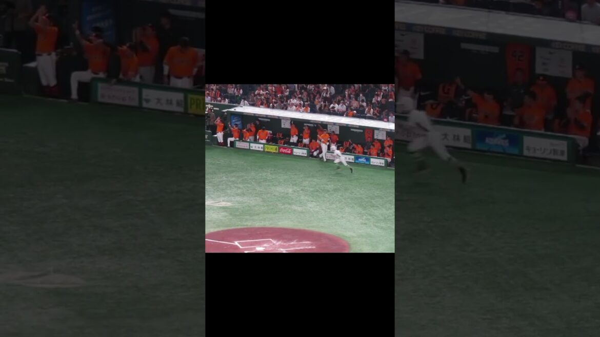 【巨人ベンチ初回】丸佳浩の内野安打で喜ぶ場面（ 読売ジャイアンツ 対 中日ドラゴンズ 2024年8月23日）