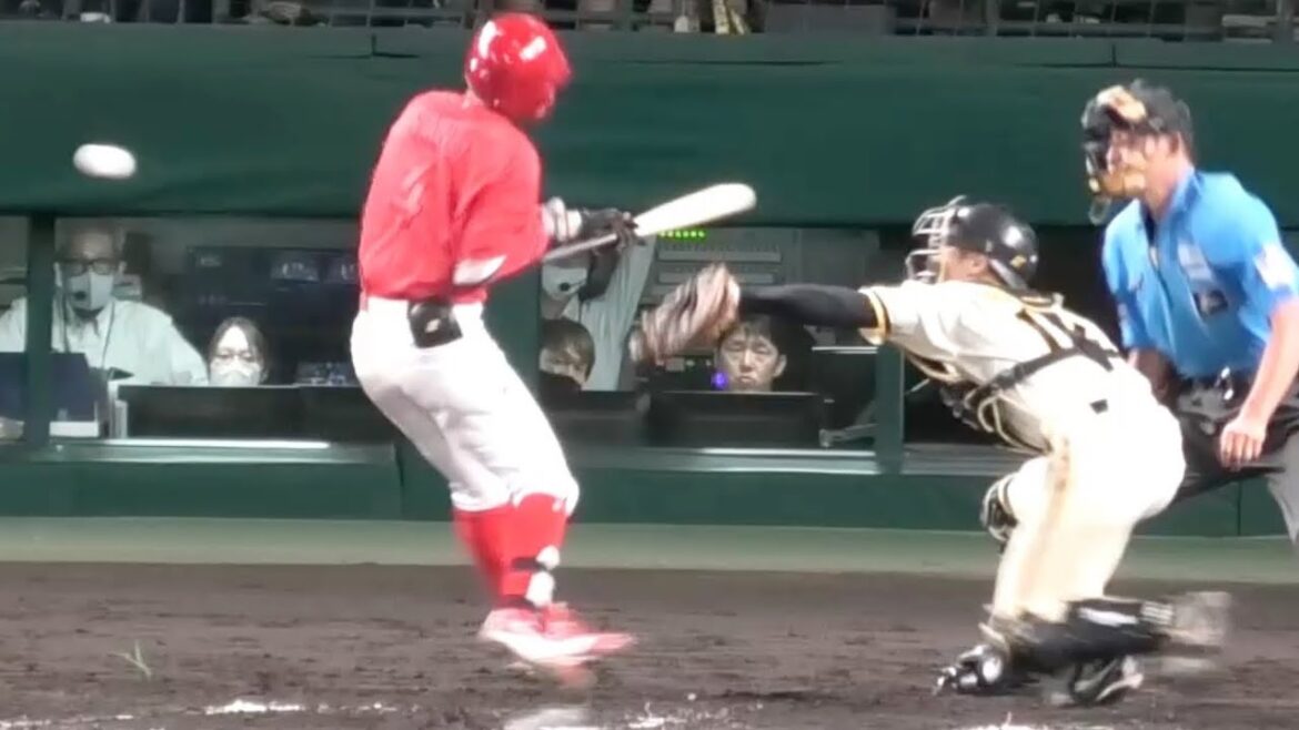 矢野が大竹から死球を受けた瞬間！大竹もすぐに謝罪！大山さんにも謝罪を受ける矢野雅哉！広島東洋カープvs阪神タイガース 2025年7月29日