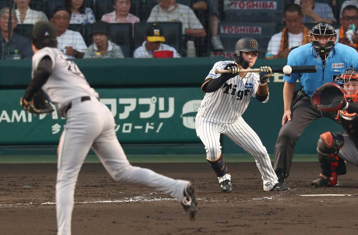 【阪神】中野拓夢2犠打で勝利貢献、いずれも得点つながる「自分の仕事」二塁打&走塁でも持ち味(日刊スポーツ) – Yahoo!ニュース – Yahoo!ニュース 【阪神】中野拓夢2犠打で勝利貢献、いずれも得点つながる「自分の仕事」二塁打&走塁でも持ち味(日刊スポーツ) - Yahoo!ニュース - Yahoo!ニュース