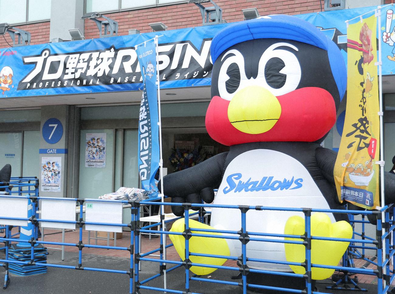 今年の神宮開幕戦で、球場正面に設置されたつば九郎のバルーン