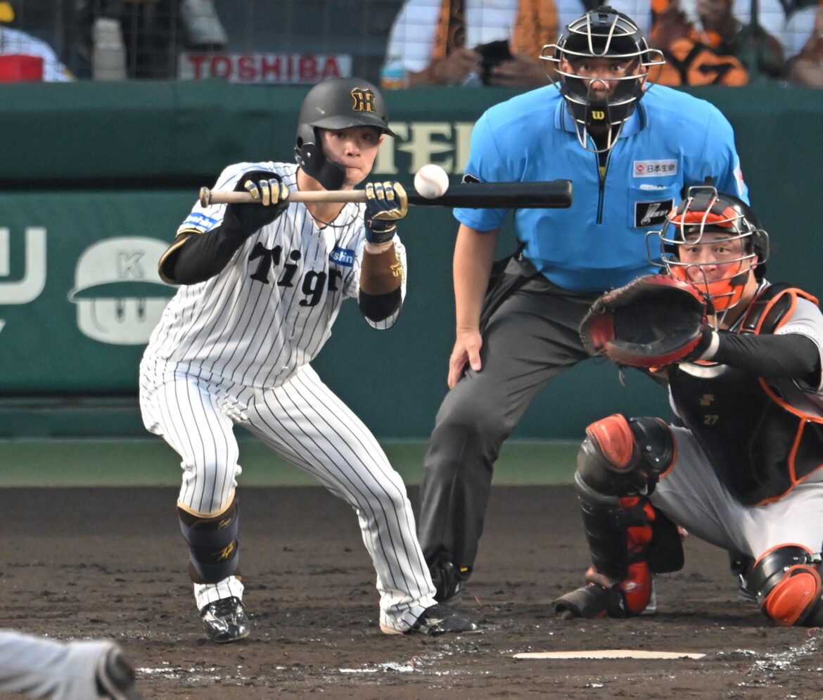 阪神の勝利呼んだ中野の初球2犠打 「野球には『流れ』がある」 守備では森下、右翼に戻って勝負勘さえた 糸井嘉男氏称賛(デイリースポーツ) – Yahoo!ニュース – Yahoo!ニュース 阪神の勝利呼んだ中野の初球2犠打 「野球には『流れ』がある」 守備では森下、右翼に戻って勝負勘さえた 糸井嘉男氏称賛(デイリースポーツ) - Yahoo!ニュース - Yahoo!ニュース