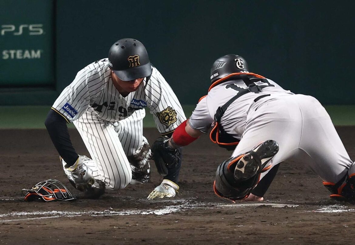 【阪神】森下翔太「最初は触れられてなかった」ミット“空振り”させ「神の手」で決勝点もぎ取る（日刊スポーツ） - Yahoo!ニュース - Yahoo!ニュース