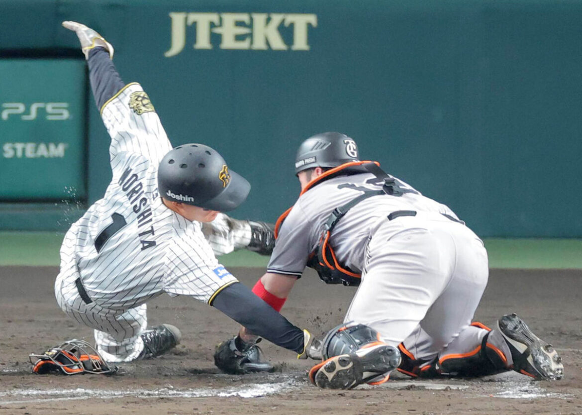 「甲子園の魔物」に襲われた巨人と手なずけた阪神の違い 掛布雅之氏が指摘（スポーツ報知） - Yahoo!ニュース - Yahoo!ニュース
