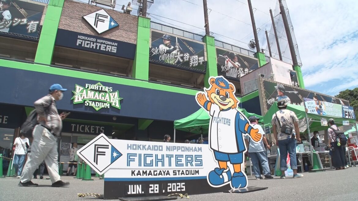 【速報】北海道日本ハムファイターズー7月7日に千葉県鎌ケ谷市にある2軍本拠地の「北海道への移転」を記者会見で正式表明へ〈北海道〉（北海道ニュースUHB） - Yahoo!ニュース - Yahoo!ニュース