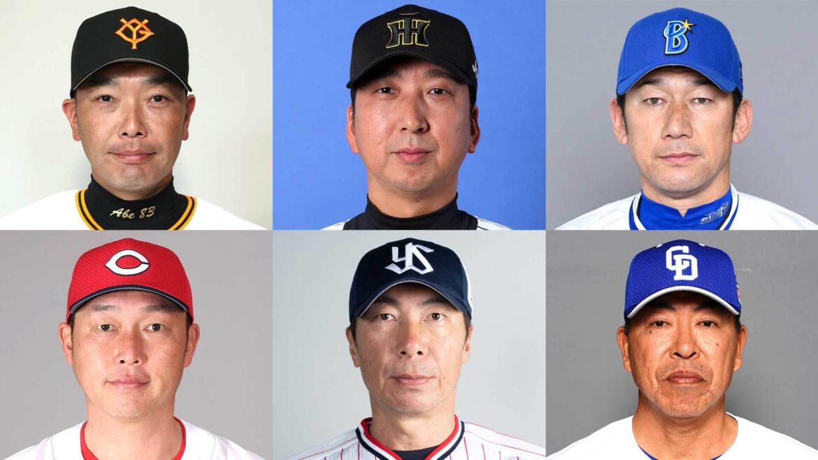 【セ・リーグ予告先発】8連勝中の阪神・才木は今季広島戦初登板　床田は阪神戦5度目 巨人・西舘vs中日・金丸 8.5差のDeNA・東 ヤクルト・吉村（TBS NEWS DIG Powered by JNN）