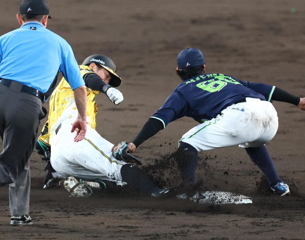 【梨田昌孝】走塁ミスした阪神豊田寛を下げたのは、今後ペナントレースを戦い抜くための姿勢（日刊スポーツ） - Yahoo!ニュース - Yahoo!ニュース