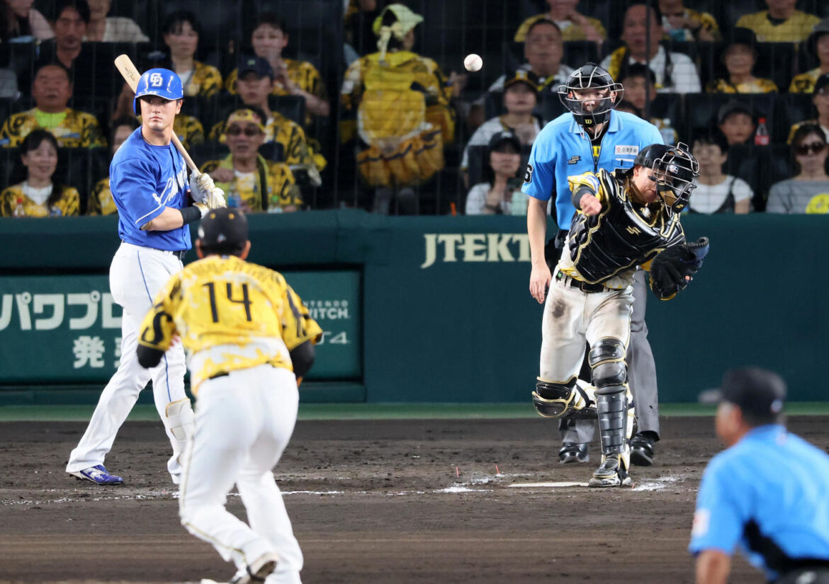 【阪神】「ステルス盗塁」見逃しません 梅野隆太郎があわてずボスラー刺す好送球(日刊スポーツ) – Yahoo!ニュース – Yahoo!ニュース 【阪神】「ステルス盗塁」見逃しません 梅野隆太郎があわてずボスラー刺す好送球(日刊スポーツ) - Yahoo!ニュース - Yahoo!ニュース