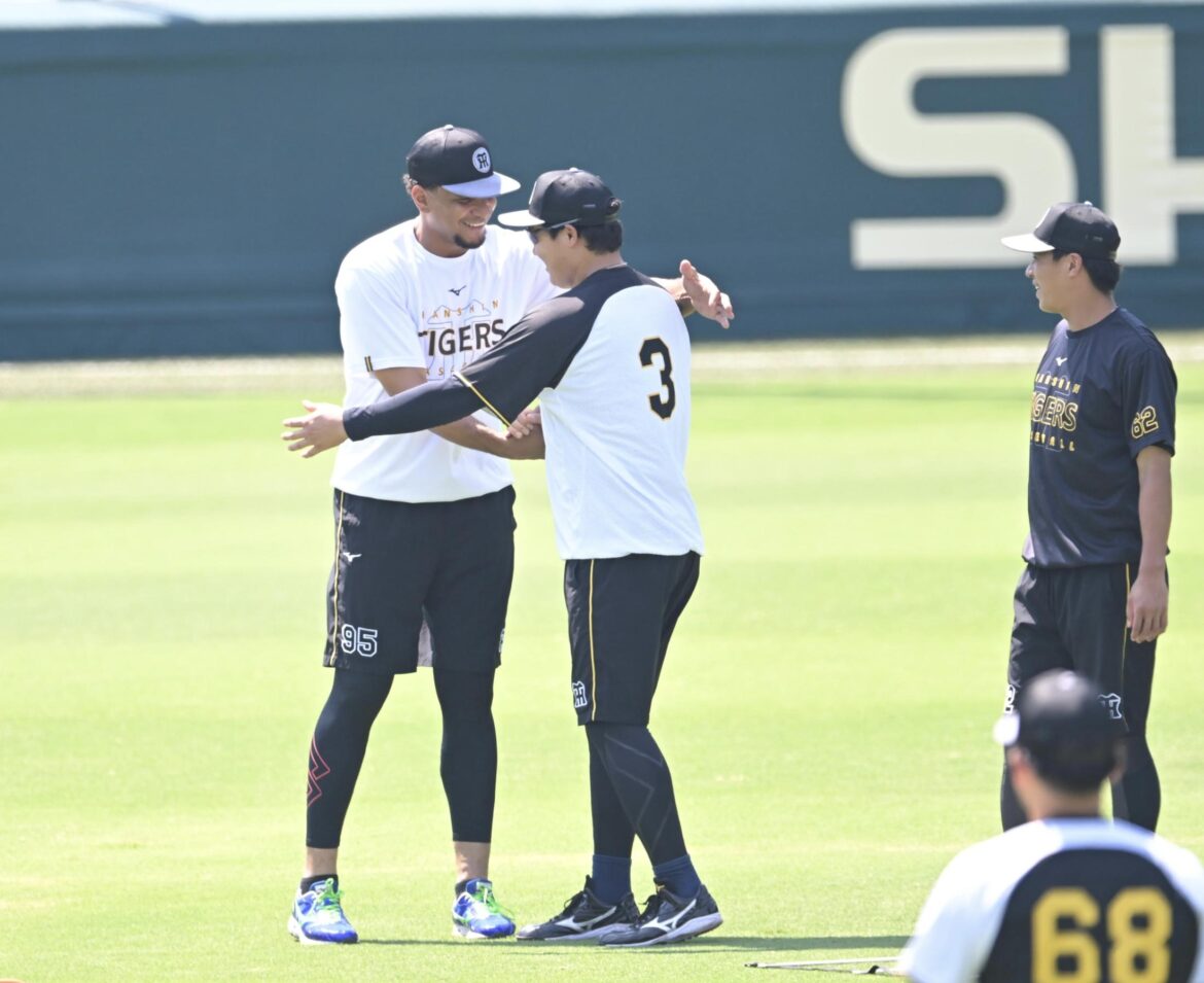 阪神 ヘルナンデスが1軍昇格の見込み 2軍降格後の打率は・375と絶好調(デイリースポーツ) – Yahoo!ニュース – Yahoo!ニュース 阪神 ヘルナンデスが1軍昇格の見込み 2軍降格後の打率は・375と絶好調(デイリースポーツ) - Yahoo!ニュース - Yahoo!ニュース