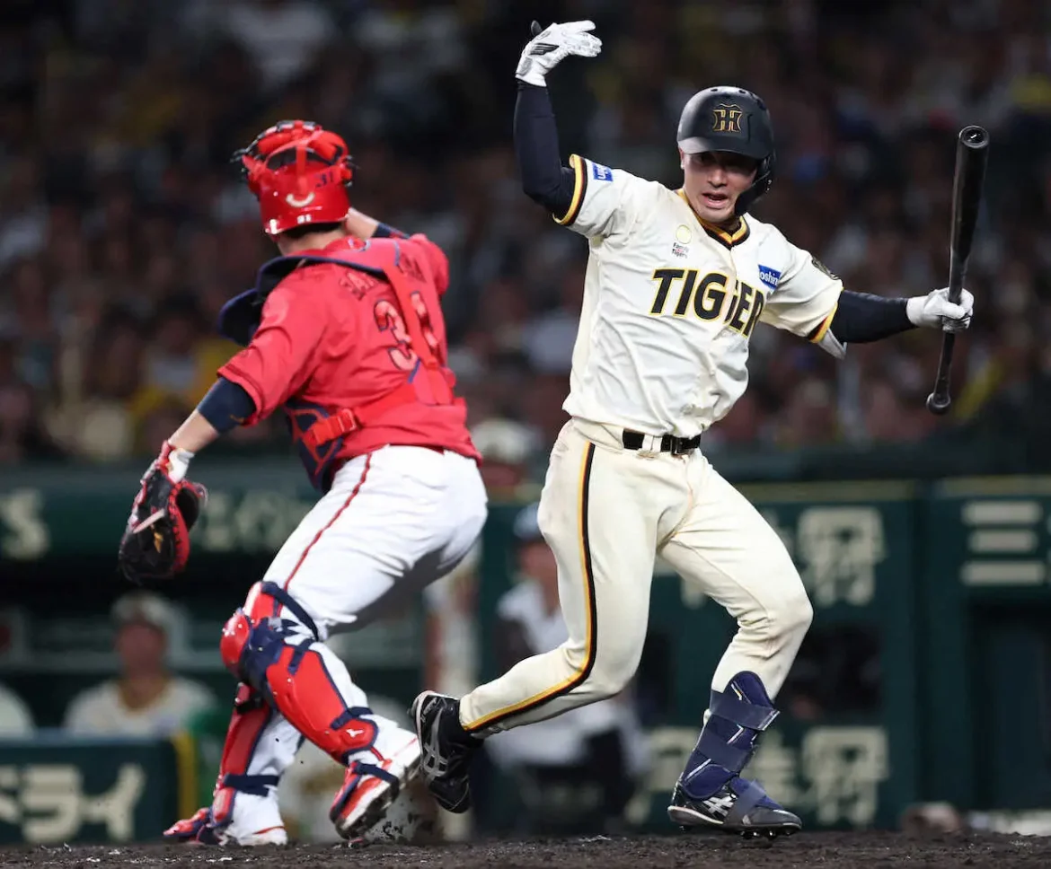 阪神　捕手の習性？坂本誠志郎がネット話題の“行動”真相明かす「ベンチでもめっちゃ…」 - スポニチ Sponichi Annex 野球