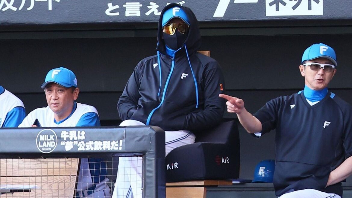 寒い 日ハム試合途中に屋根閉める - Yahoo!ニュース