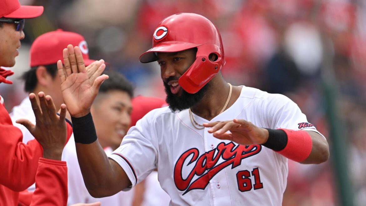 日本テレビ放送網