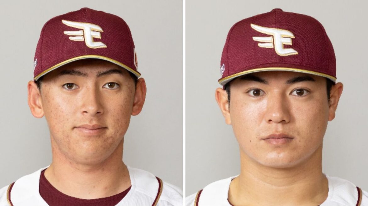 日本テレビ放送網