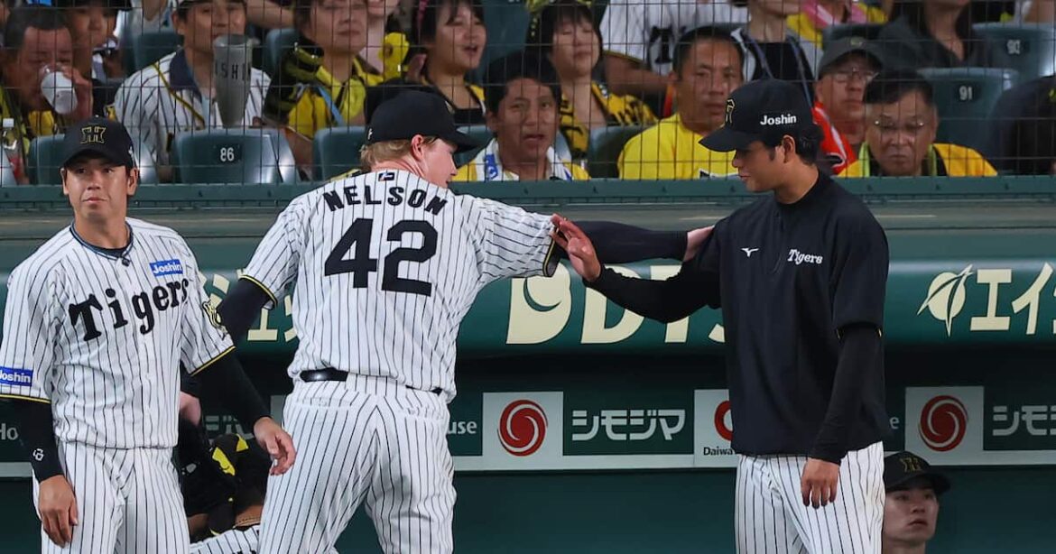 【データBOX】自力優勝の可能性を残すのは阪神と中日のみに　阪神は優勝へのマジックが最短で29日に点灯 - サンスポ