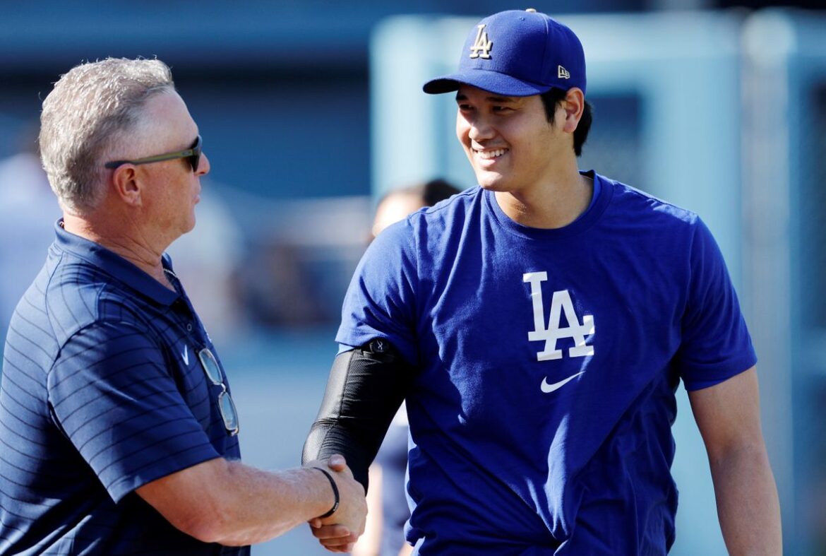 日本テレビ放送網