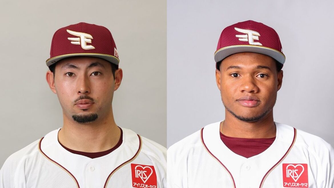 日本テレビ放送網