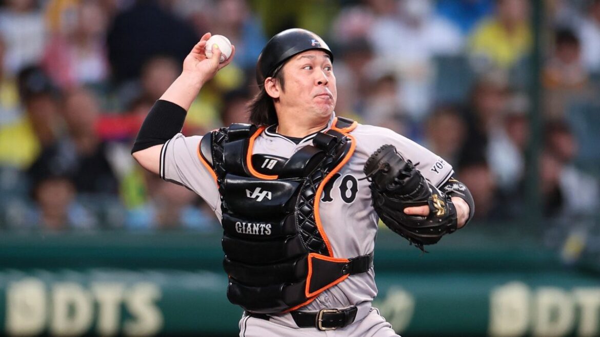 日本テレビ放送網