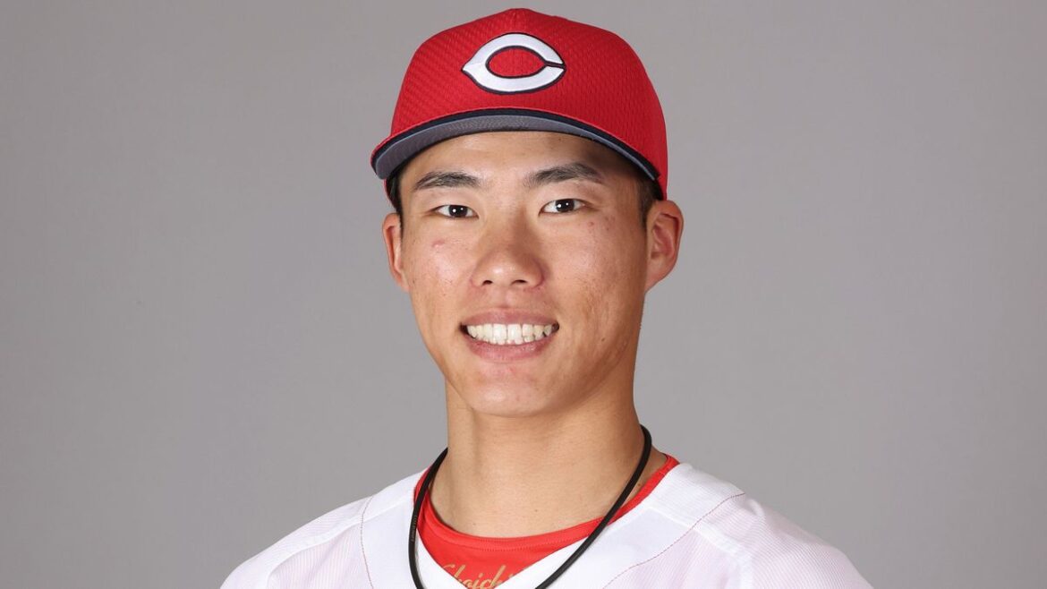 日本テレビ放送網