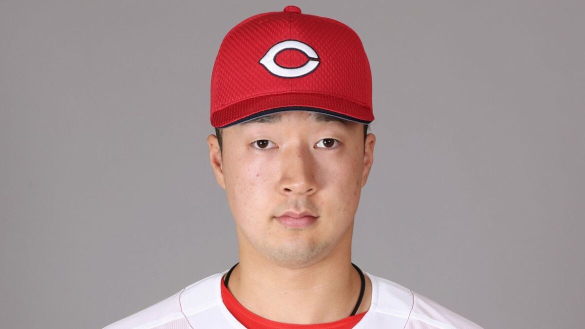 日本テレビ放送網