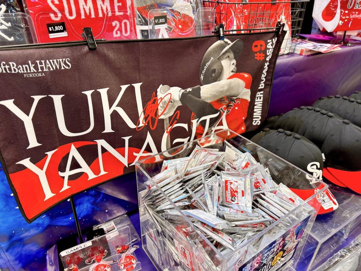 画像：博多あや.