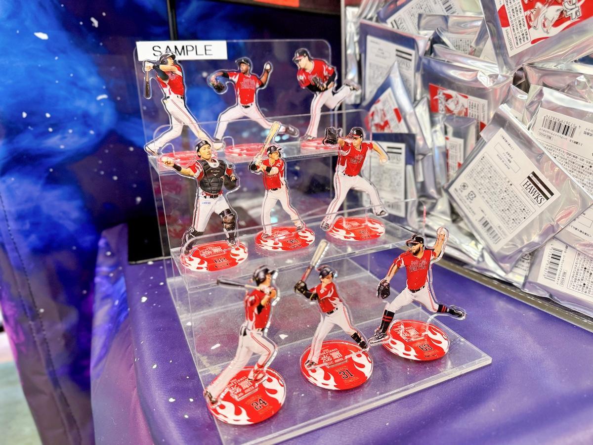 画像：博多あや.