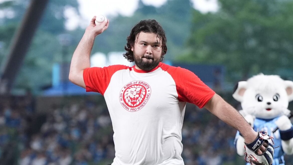 日本テレビ放送網